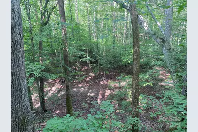 0 Camp McCall Road, Bostic, NC 28018 - Photo 14