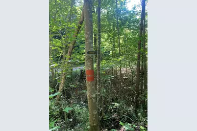 0 Camp McCall Road, Bostic, NC 28018 - Photo 16