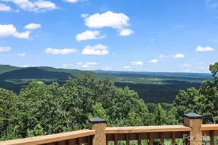 995 Towery Trace, Ellenboro, NC 28040 - Photo 40