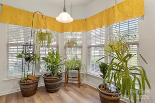 3003 Edisto Way, Fort Mill, SC 29707 - Photo 10