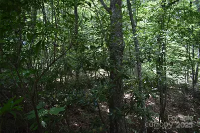 50 Firefly Springs Lane, Candler, NC 28715 - Photo 26