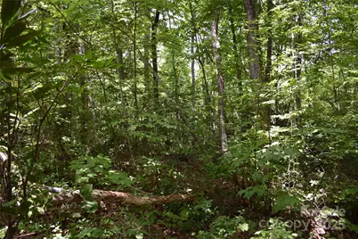 50 Firefly Springs Lane, Candler, NC 28715 - Photo 42