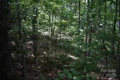 50 Firefly Springs Lane, Candler, NC 28715 - Photo 26