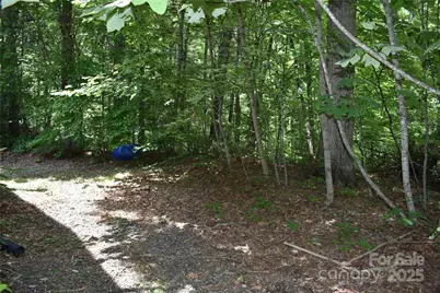 50 Firefly Springs Lane, Candler, NC 28715 - Photo 24