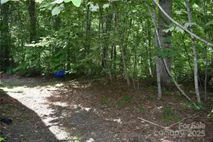 50 Firefly Spgs Ln, Candler, NC 28715 - Photo 24