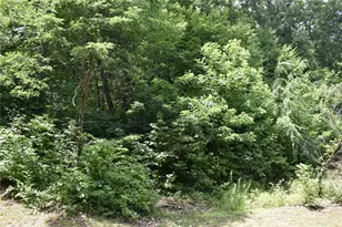 50 Firefly Spgs Ln, Candler, NC 28715 - Photo 36