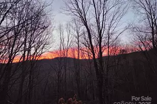 50 Firefly Spgs Ln, Candler, NC 28715 - Photo 2