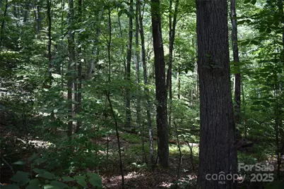 50 Firefly Springs Lane, Candler, NC 28715 - Photo 28