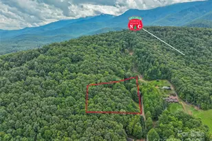 60 Persimmons Ln, Burnsville, NC 28714 - Photo 28