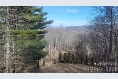 60 Persimmons Lane, Burnsville, NC 28714 - Photo 2