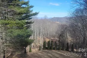 60 Persimmons Ln, Burnsville, NC 28714 - Photo 2