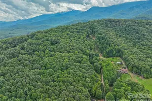 60 Persimmons Ln, Burnsville, NC 28714 - Photo 28