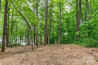 7326 Right Angle Street, Sherrills Ford, NC 28673 - Photo 8