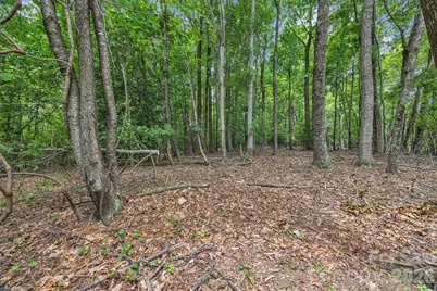 0 Pike Road, Moravian Falls, NC 28654 - Photo 12