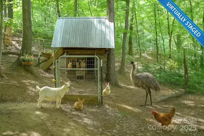 185 Blossom Ridge, Leicester, NC 28748 - Photo 46