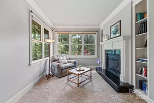 46 Beale Ct, Fletcher, NC 28732 - Photo 20