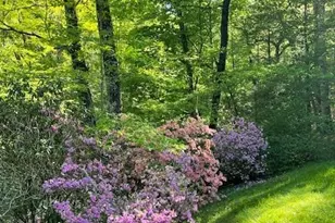 167 Simmons Ridge Rd, Spruce Pine, NC 28777 - Photo 38