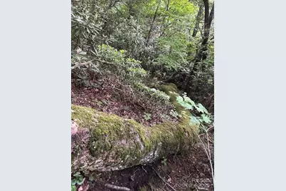 167 Simmons Ridge Road, Spruce Pine, NC 28777 - Photo 32