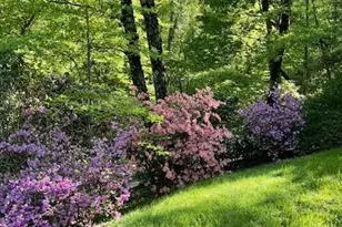 167 Simmons Ridge Rd, Spruce Pine, NC 28777 - Photo 36