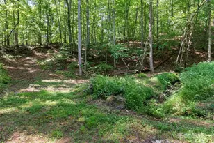 290 Turkey Pen Rd, Franklin, NC 28734 - Photo 36