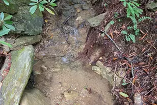 1145 Bearwallow Mountain Rd, Hendersonville, NC 28792 - Photo 40