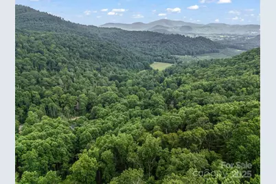 1145 Bearwallow Mountain Road, Hendersonville, NC 28792 - Photo 44