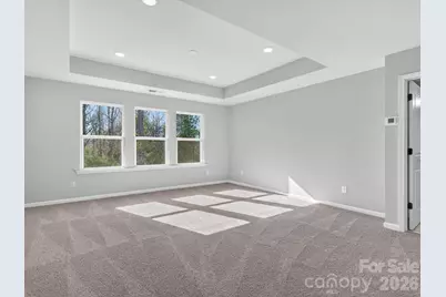 229 Alluvium Lane, Waxhaw, NC 28173 - Photo 16