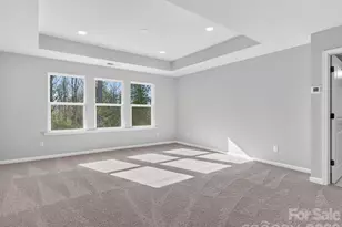 229 Alluvium Ln, Waxhaw, NC 28173 - Photo 16