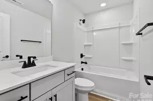 229 Alluvium Ln, Waxhaw, NC 28173 - Photo 22