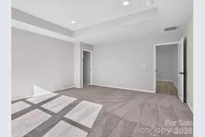 229 Alluvium Lane, Waxhaw, NC 28173 - Photo 18