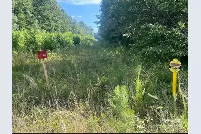 00 Blue Branch Road #Tract B, Gaffney, SC 29340 - Photo 8