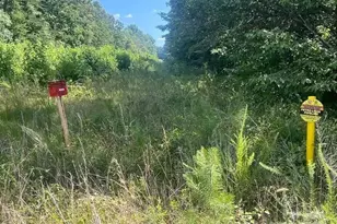 00 Blue Branch Rd, Gaffney, SC 29340 - Photo 8