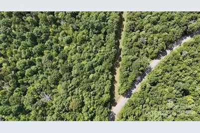 00 Blue Branch Road #Tract C, Gaffney, SC 29340 - Photo 12