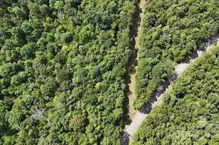 00 Blue Branch Rd, Gaffney, SC 29340 - Photo 12