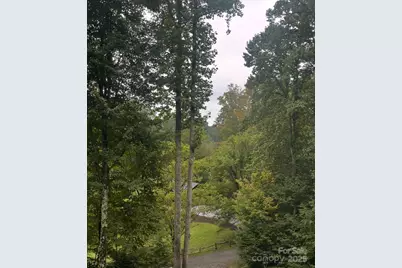 100 Susanna Cove Road, Mars Hill, NC 28754 - Photo 8