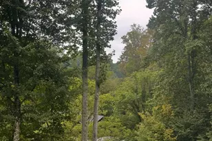 100 Susanna Cove Rd, Mars Hill, NC 28754 - Photo 8