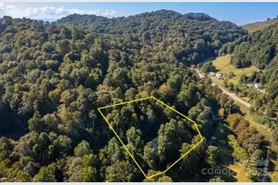 100 Susanna Cove Road, Mars Hill, NC 28754 - Photo 38