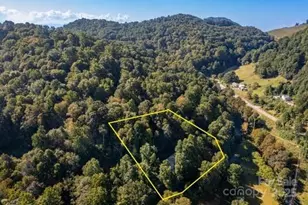 100 Susanna Cove Rd, Mars Hill, NC 28754 - Photo 38