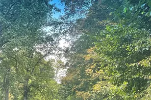 100 Susanna Cove Rd, Mars Hill, NC 28754 - Photo 12