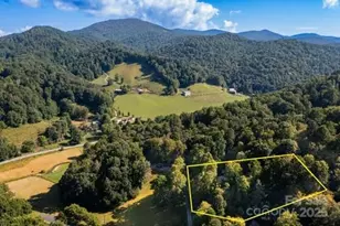 100 Susanna Cove Rd, Mars Hill, NC 28754 - Photo 36