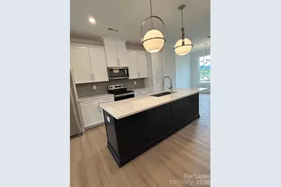 1111 Kokomo Lane, Charlotte, NC 28206 - Photo 2