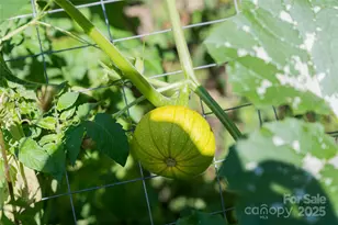 116 Dix Creek Chapel Rd, Asheville, NC 28806 - Photo 38