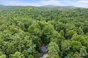 138 Stillwagon Ln, Cedar Mountain, NC 28718 - Photo 36