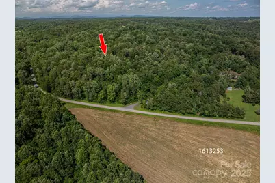 Lot  165 Plantation Drive, Rutherfordton, NC 28139 - Photo 6