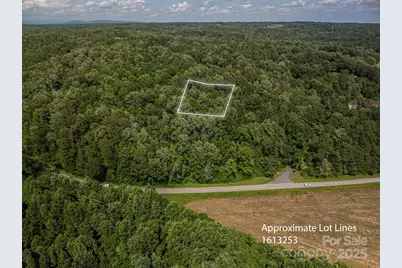 Lot  165 Plantation Drive, Rutherfordton, NC 28139 - Photo 2