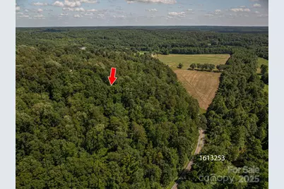 Lot  165 Plantation Drive, Rutherfordton, NC 28139 - Photo 4