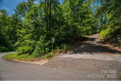 Lot 177 Plantation Drive, Rutherfordton, NC 28139 - Photo 6