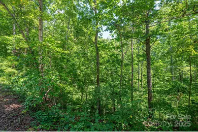 Lot 131 Plantation Drive, Rutherfordton, NC 28139 - Photo 12
