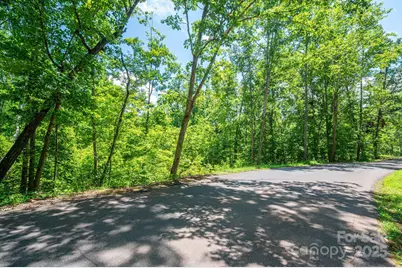 Lot 132 Plantation Drive, Rutherfordton, NC 28139 - Photo 16
