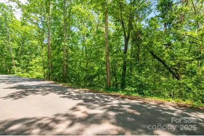 Lot 132 Plantation Drive, Rutherfordton, NC 28139 - Photo 10